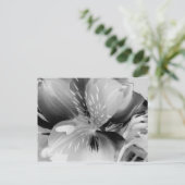 Alstroemeria Peruvian Lily Flower in Black & White Briefkaart (Staand voorkant)