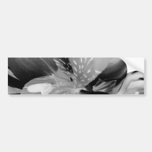 Alstroemeria Peruvian Lily Flower in Black & White Bumpersticker
