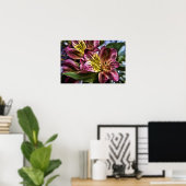 Alstroemeria Peruvian Lily poster print (Thuiskantoor)