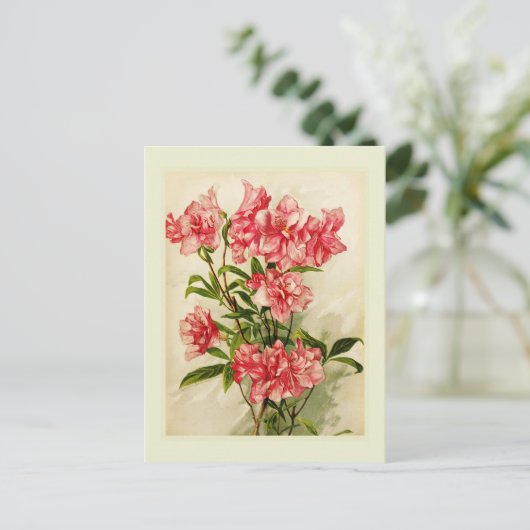 Alstromeria Briefkaart (Staand voorkant)