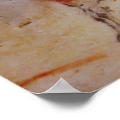 Altamira Paard Poster (Hoek)