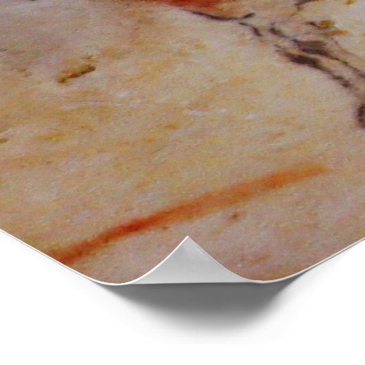 Altamira Paard Poster (Hoek)