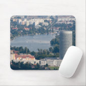 Alte Donau, Floridotower Muismat (Met muis)