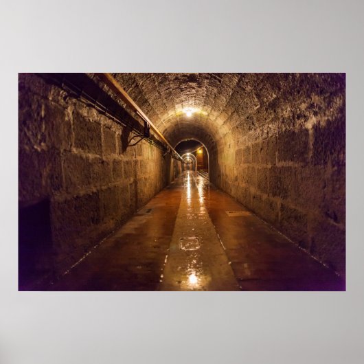 Alte Saline Salt Mine Tunnel Poster (Voorkant)