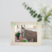 Alter Stall Briefkaart (Staand voorkant)