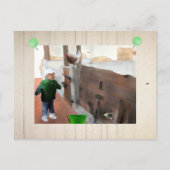 Alter Stall Briefkaart (Voorkant)