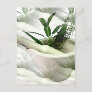 Alternatief Briefkaart