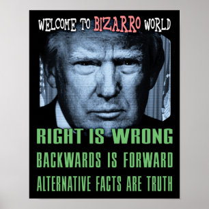 Alternatieve Feiten Zijn Waarheid - Anti President Poster