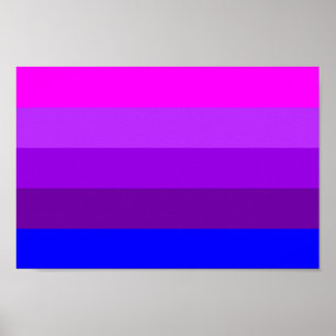 Alternatieve Transgender Pride Vlag Poster