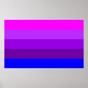 Alternatieve Transgender Pride-vlag Poster