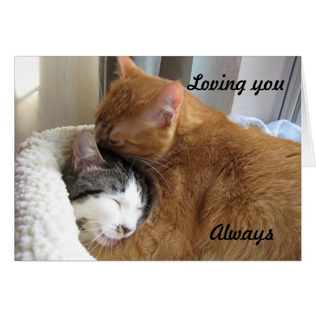 Altijd 036 (Voorkant Horizontaal)