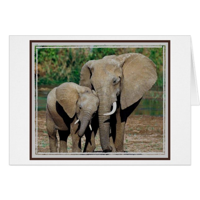 Altijd aan uw kant (Voorkant Horizontaal)