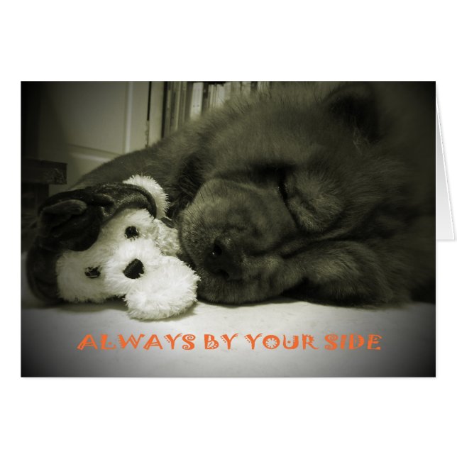 Altijd aan uw kant (Voorkant Horizontaal)