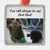 Altijd Best Buds Ornament (Voorkant)