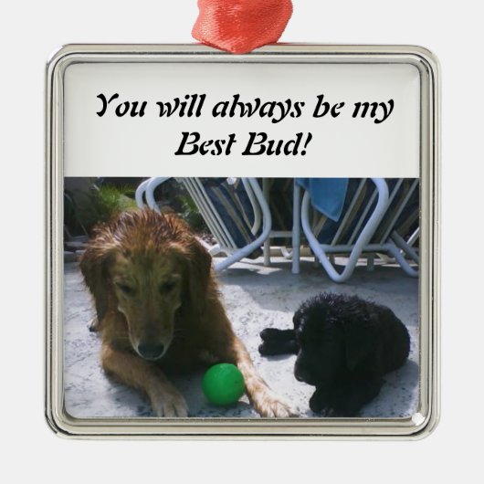 Altijd Best Buds Ornament (Voorkant)