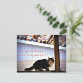 Altijd de feelduiven die kat bekijken briefkaart (Staand voorkant)