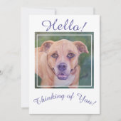 Altijd denken aan je gouden hond feestdagenkaart (Voorkant)