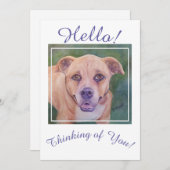 Altijd denken aan je gouden hond feestdagenkaart (Voorkant / Achterkant)