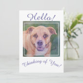 Altijd denken aan je gouden hond feestdagenkaart (Staand voorkant)