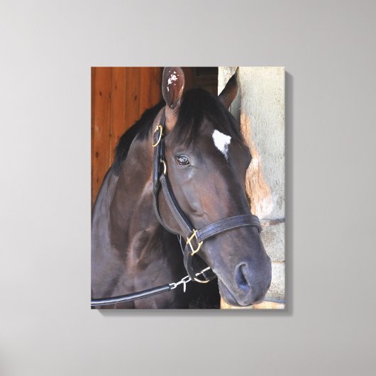 Altijd dromen canvas afdruk (Voorkant)