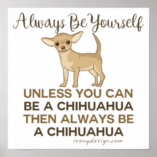 Altijd een Chihuahua zijn Poster (Voorkant)
