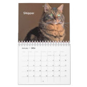 Altijd en altijd Collectibel Agenda 2019 Kalender (Jan 2026)