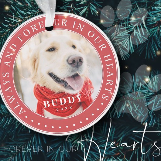 Altijd en altijd in ons hart Memorial Pet Foto Ornament