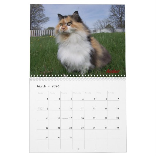 Altijd en altijd kalender (Mar 2026)