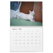 Altijd en altijd kalender (Feb 2026)