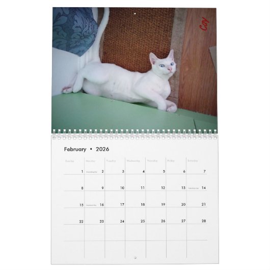 Altijd en altijd kalender (Feb 2026)