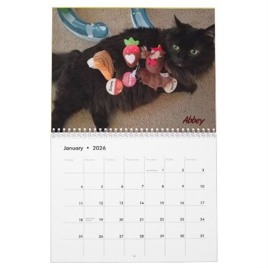 Altijd en altijd kalender (Jan 2026)