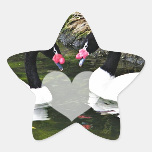 Altijd en altijd_ ster sticker (Voorkant)