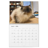 ALTIJD EN BUITENLANDSE KATLENDAR KALENDER (Mar 2026)