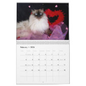 ALTIJD EN BUITENLANDSE KATLENDAR KALENDER (Feb 2026)