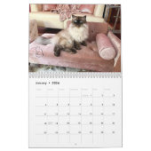 ALTIJD EN BUITENLANDSE KATLENDAR KALENDER (Jan 2026)