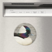 Altijd gekleed om indruk te maken: een nieuwsgieri magneet (Insitu (Vaatwasser))