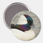 Altijd gekleed om indruk te maken: een nieuwsgieri magneet (Voorkant / Achterkant)