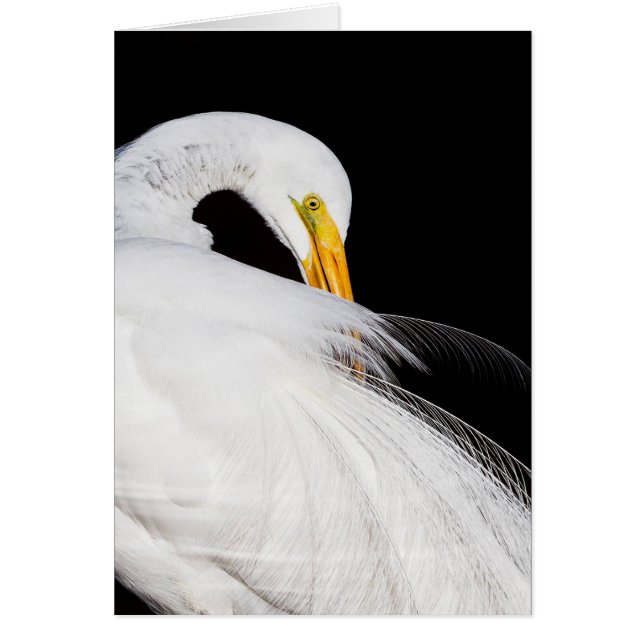 Altijd groeten (Voorkant)