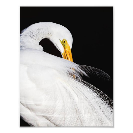 Altijd groeten foto afdruk (Voorkant)
