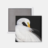 Altijd groeten magneet (Voorkant / Achterkant)
