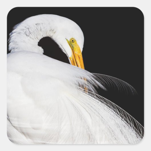 Altijd groeten vierkante sticker (Voorkant)