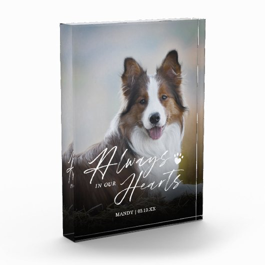 Altijd in ons hart Foto Memorial (Links)