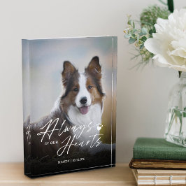 Altijd in ons hart Foto Memorial