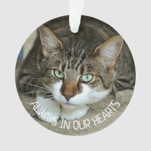 Altijd in ons hart, kat gedenken ornament
