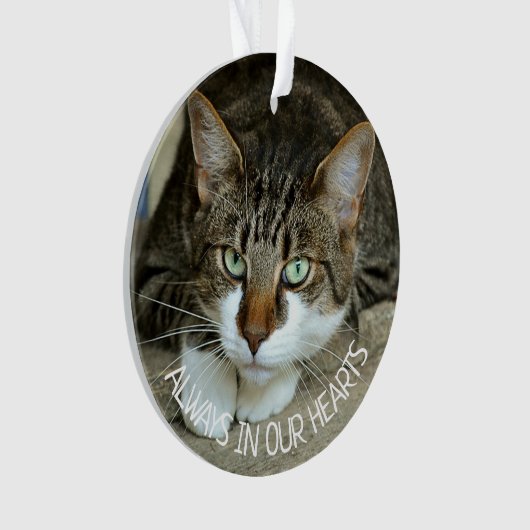 Altijd in ons hart, kattenherinnering ornament (voorkant)