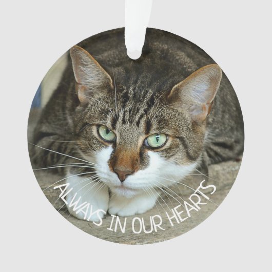 Altijd in ons hart, kattenherinnering ornament (voorkant)