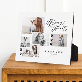 Altijd In Onze Hart Pet Foto Collage Herdenking Fotoplaat