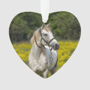 Altijd in onze Harten, Paard Herinnering Ornament
