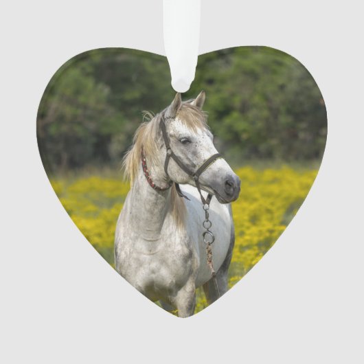 Altijd in onze Harten, Paard Herinnering Ornament (voorkant)