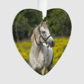 Altijd in onze Harten, Paard Herinnering Ornament (voorkant)